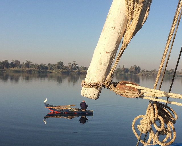 White-seabird-on-a-rowing-boat